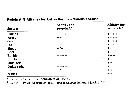 Protein A/G Affinities for Antibodies from Various Species